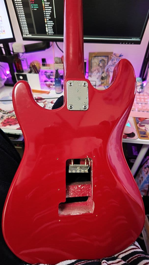 犬塚いちごさん直筆 サイン入り 犬属ギター