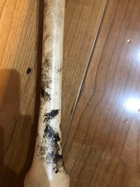 京田陽太 生サインバット 中日ドラゴンズ