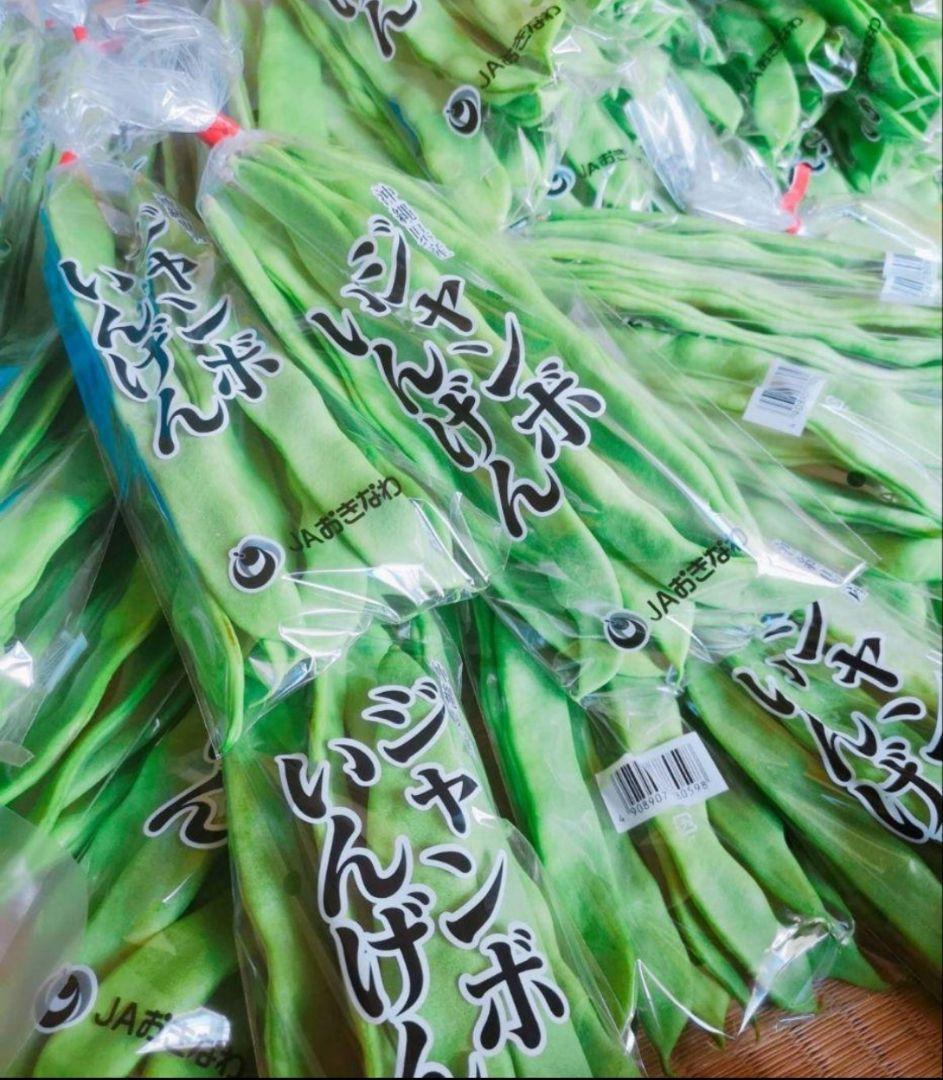 ジャンボいんげん10㌔21izumo921専用