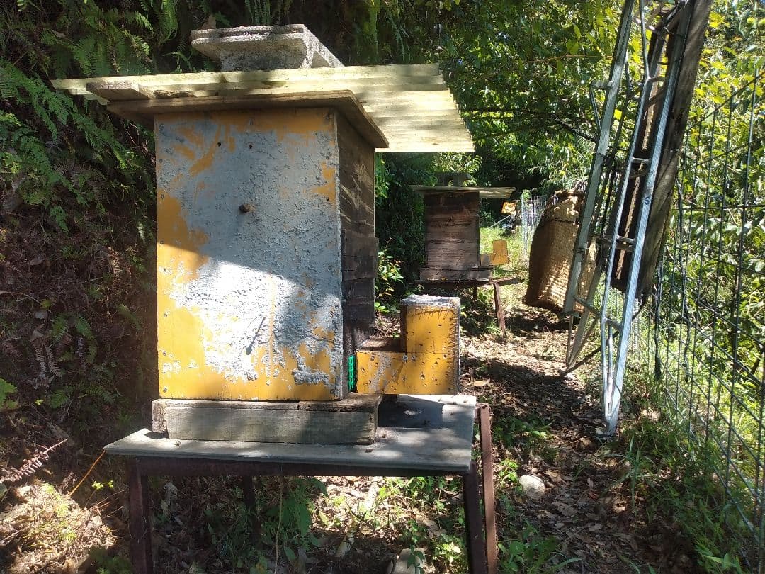 純粋日本蜂蜜、百花蜜、愛媛県産、600g×2本瓶入り