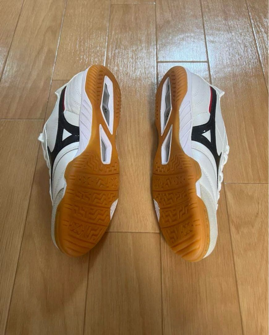 旧モレリアIN 24.5cm