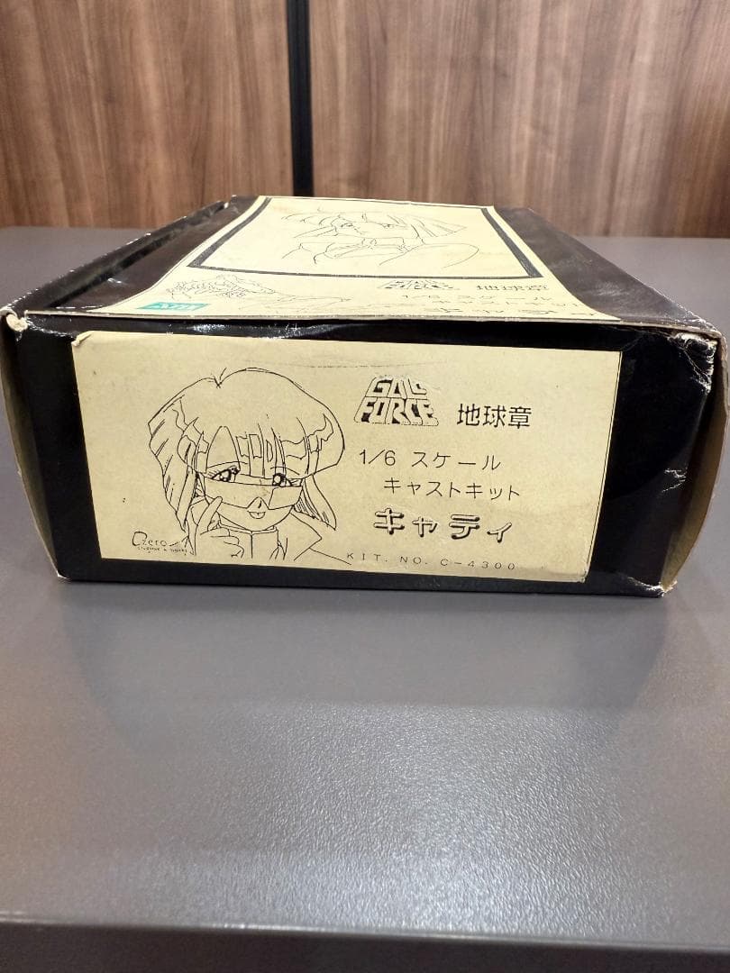 GALL FORCE 地球章 ガルフォース ガレージキット キャティ 中古品