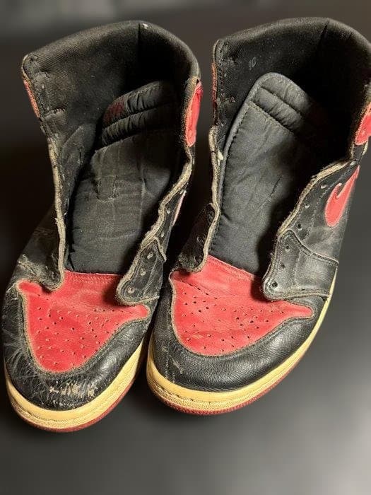 Nike Air Jordan 1 赤黒 シューズ