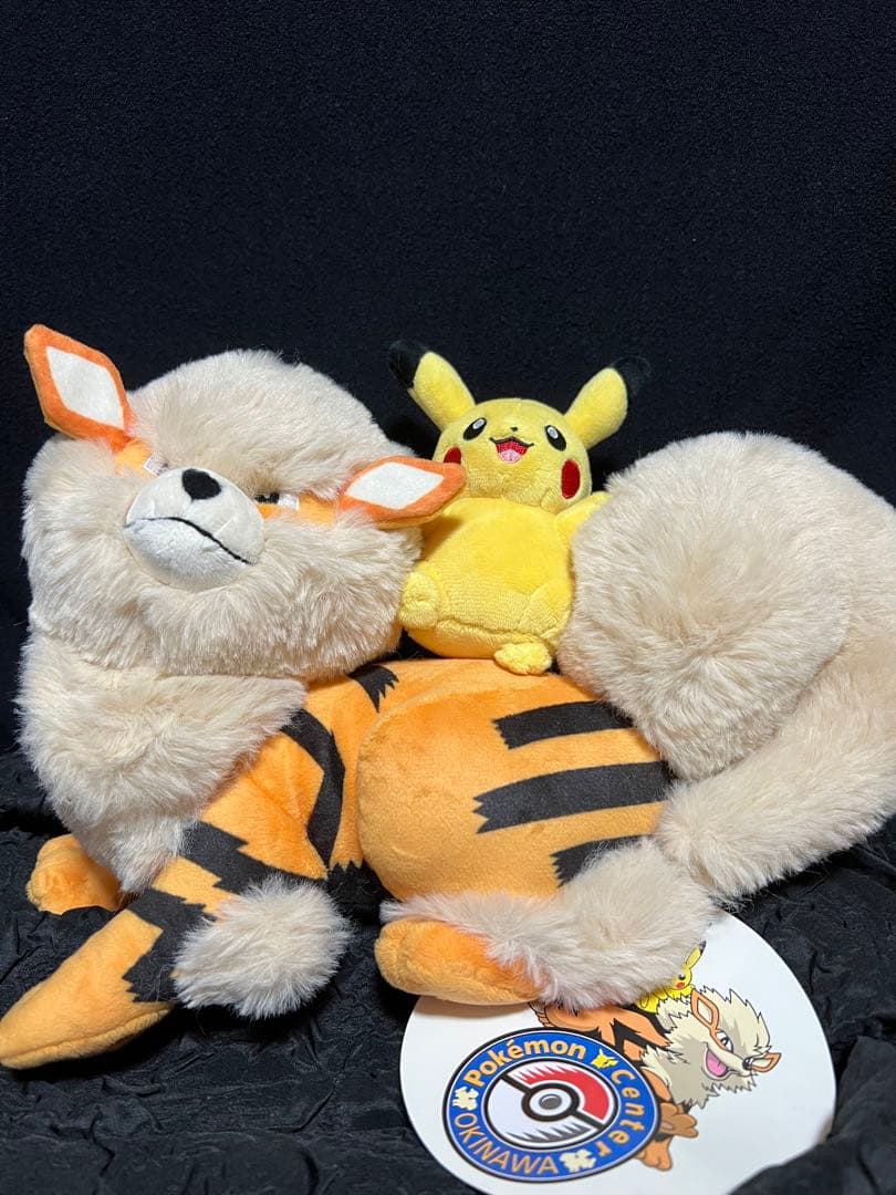 新品　ぬいぐるみ　ポケモンセンターオキナワ