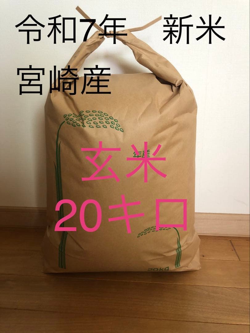 令和7年宮崎県産 新米 玄米20キロ 夏の笑み