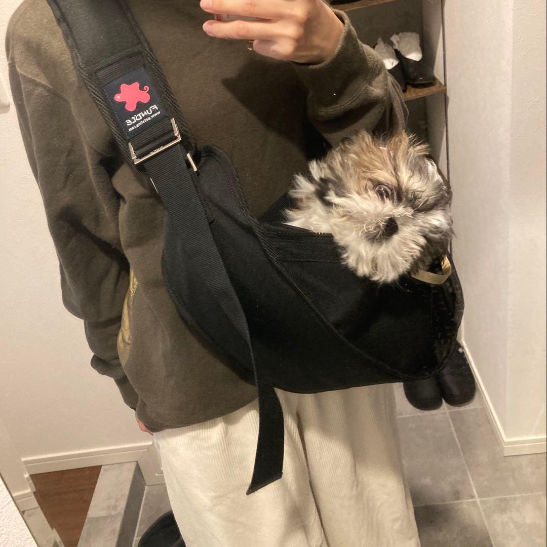 FUNDILE 電車利用可 ドッグスリング