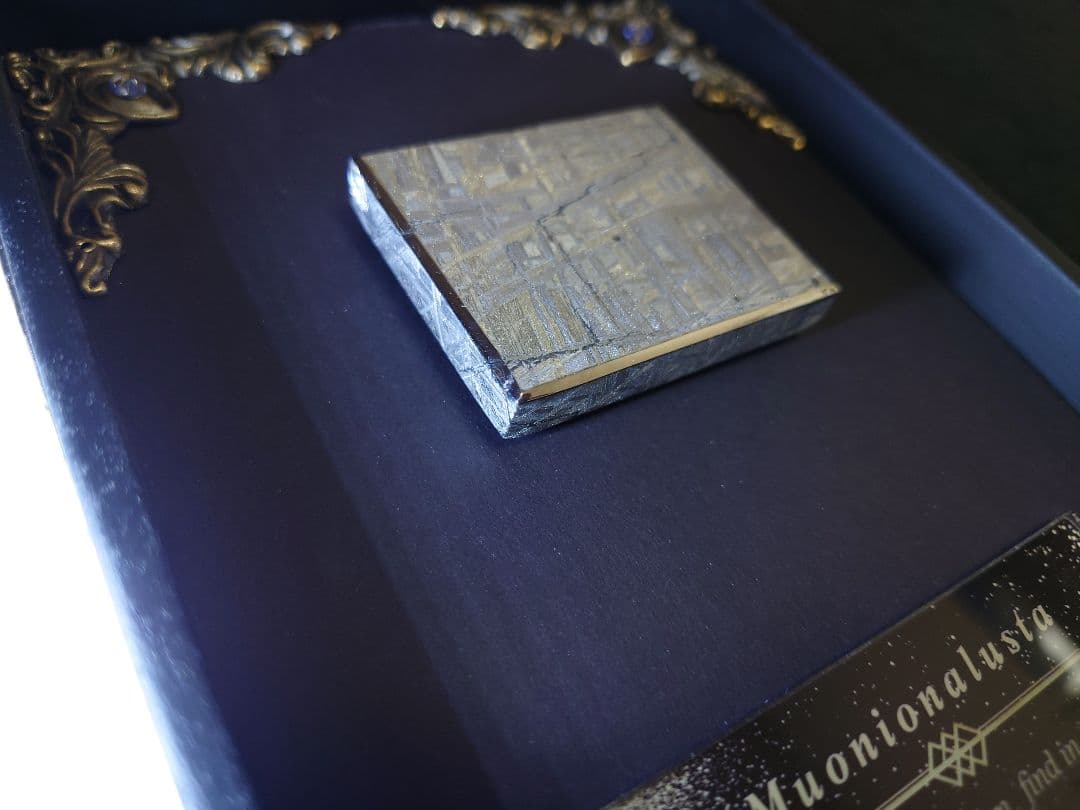 隕石絵画　ムオニオナルスタ隕石 133g鉄隕石【検索ワード ギベオン イミラック