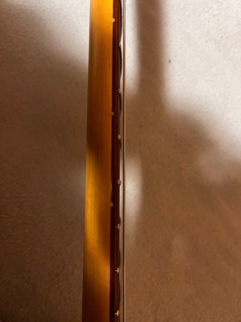 Fender / player plus テレキャスター