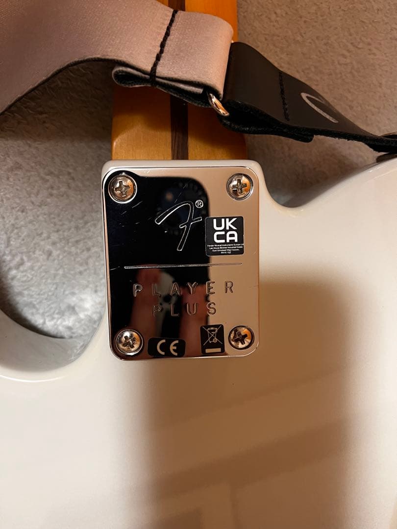 Fender / player plus テレキャスター