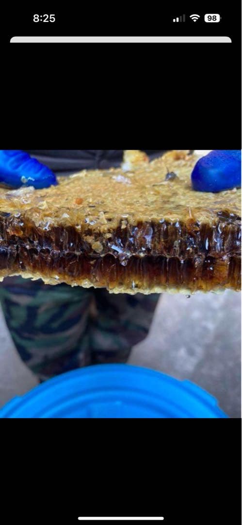 ニホンミツバチ　百花蜜　2,350g結晶化始まりました