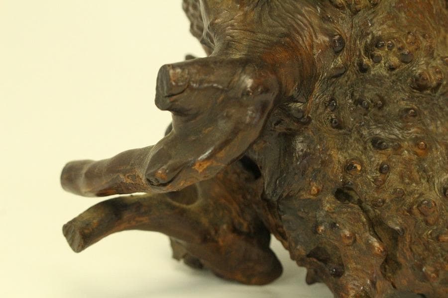 自然木 根木 奇木 置物(A917)