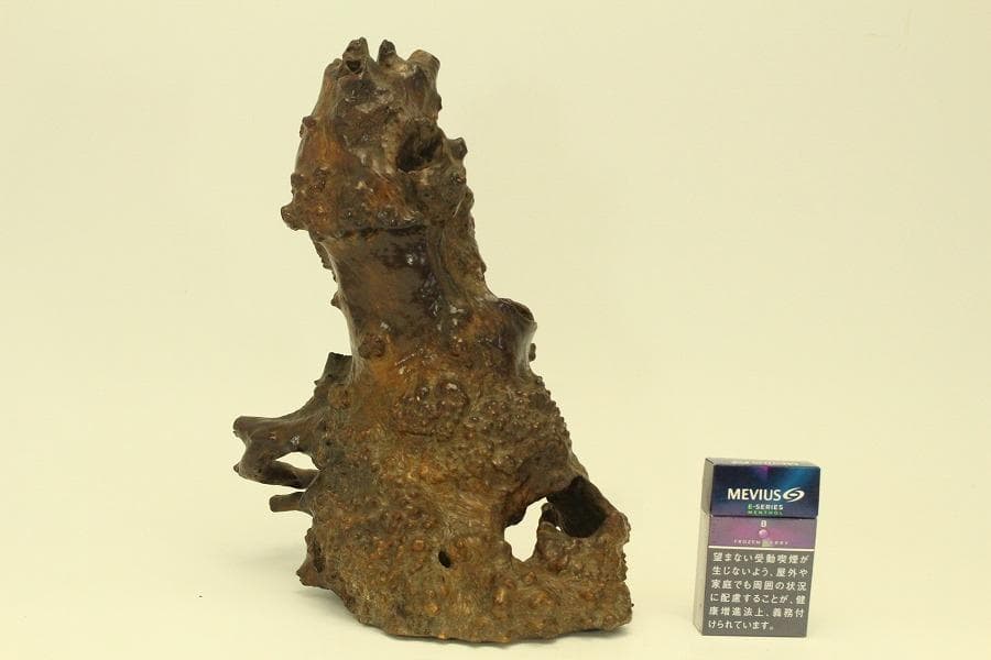 自然木 根木 奇木 置物(A917)