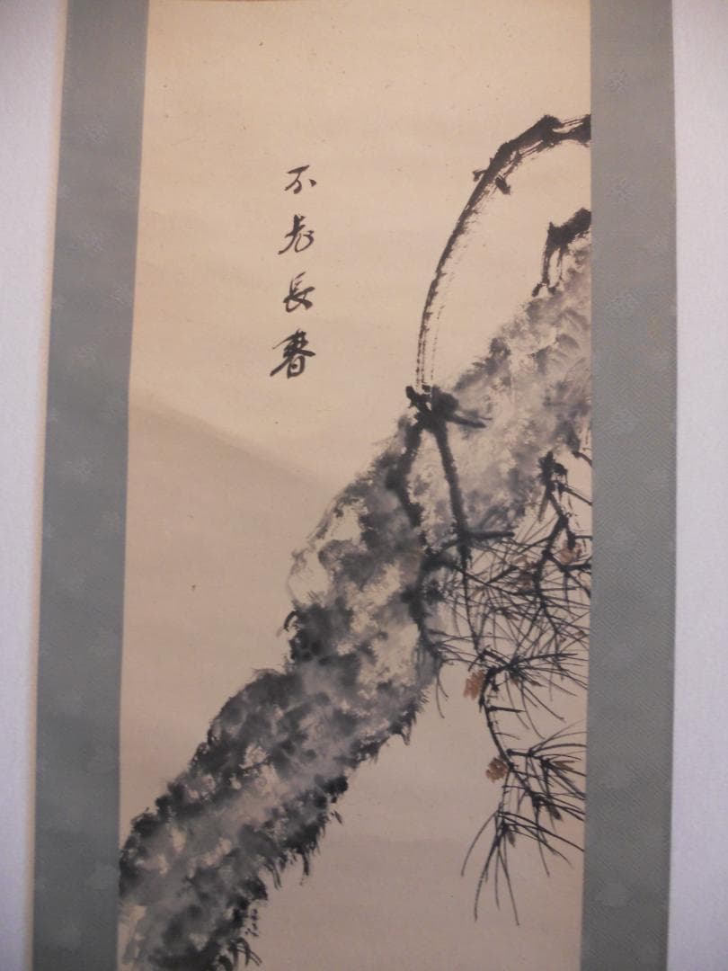 掛け軸 不老長春 紙本 希少 軸装 茶道具 掛軸 です。