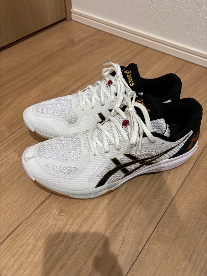 ローテジャパン ライトff3