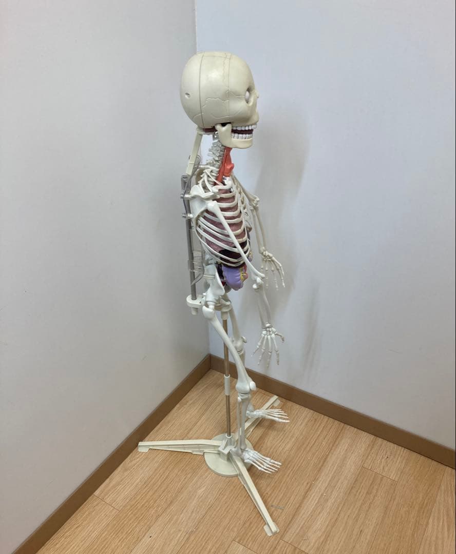 ジャンク品　デアゴスティーニ　ホネッキー