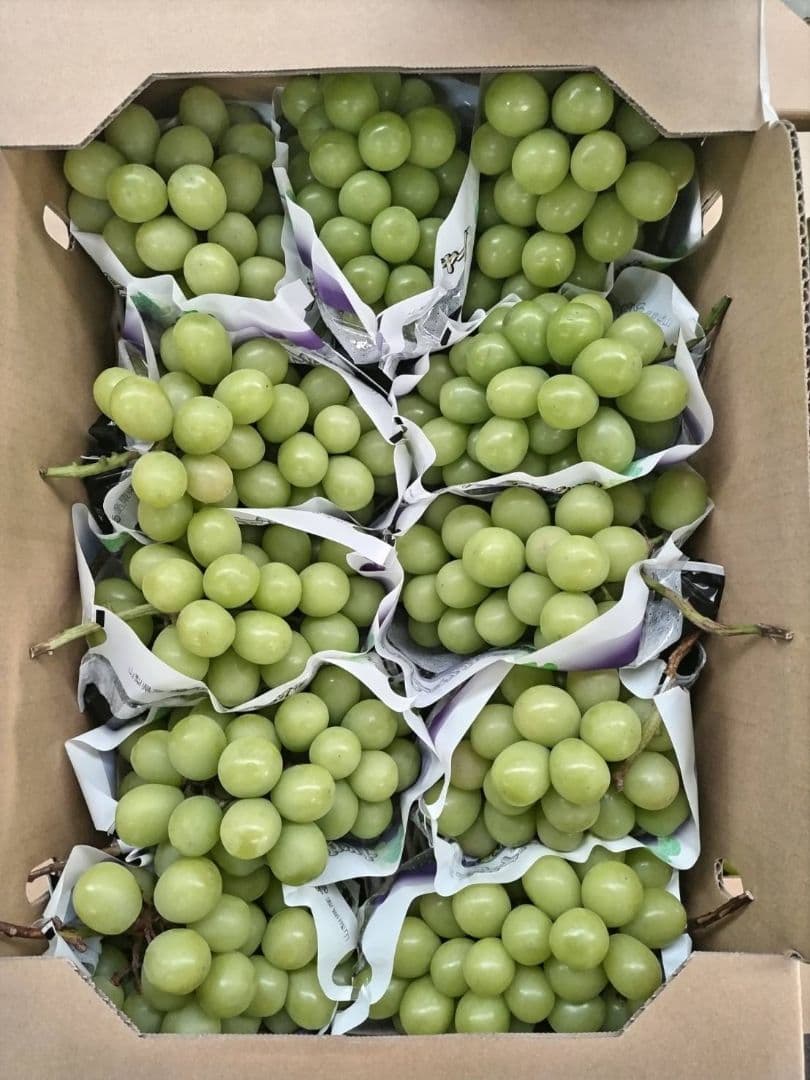 T*@様 シャインマスカット　5キロ　11入　山梨県産