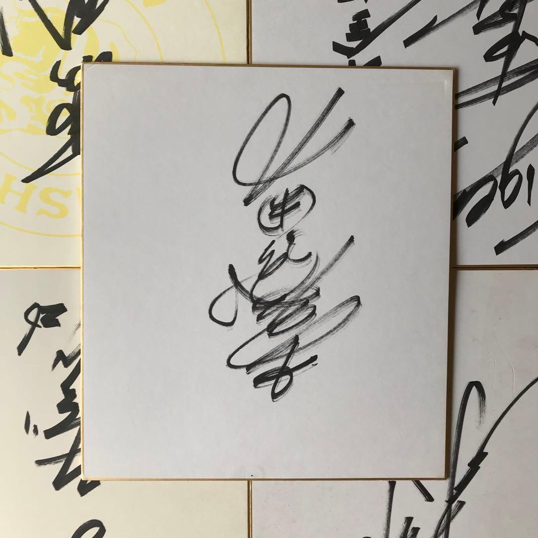 送料込み タイガース サイン色紙13枚