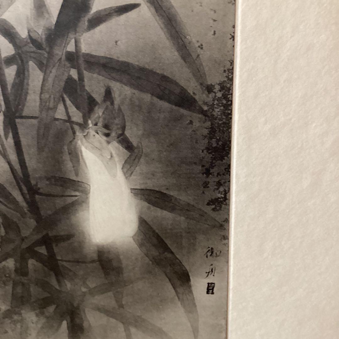 天才画家　速水御舟　作品集大作編　便利堂監修　画集【露　潤】　NO 41