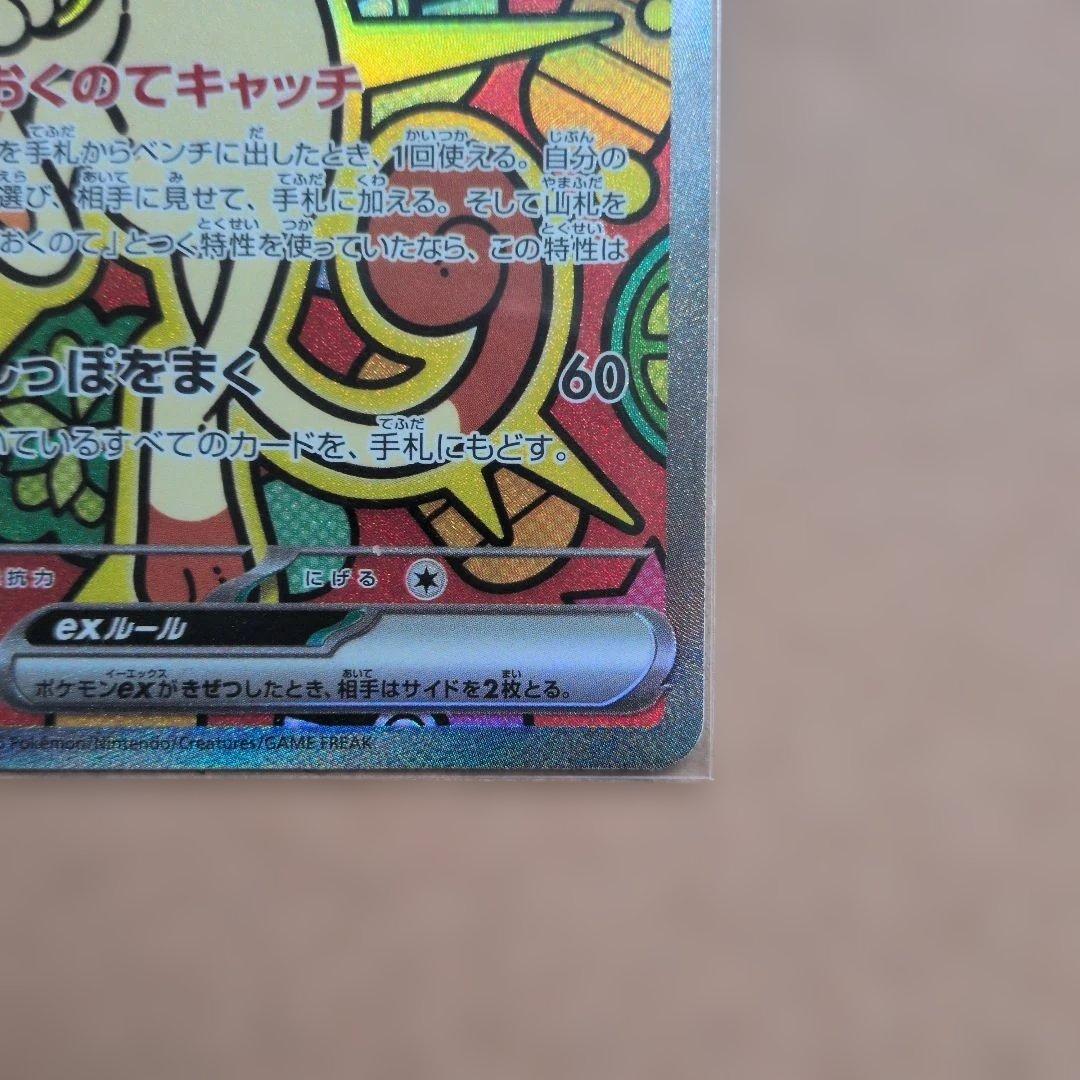 美品　sar ニャースEX セット即スリーブ