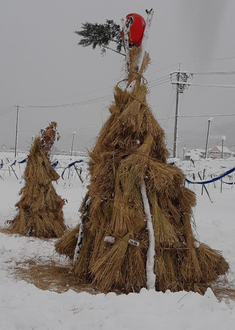 シャインマスカット大粒グリーン多め入り5キロの粒バック入りになります。
