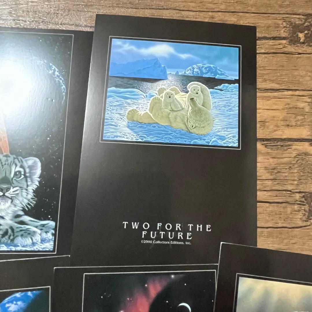 ブラックポストカード　5枚セット　シムシメールコレクション