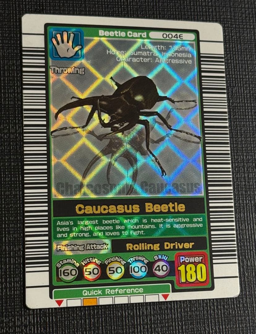 【希少】ムシキング コーカサスオオカブト 初期デザイン 英語版2003春デザイン