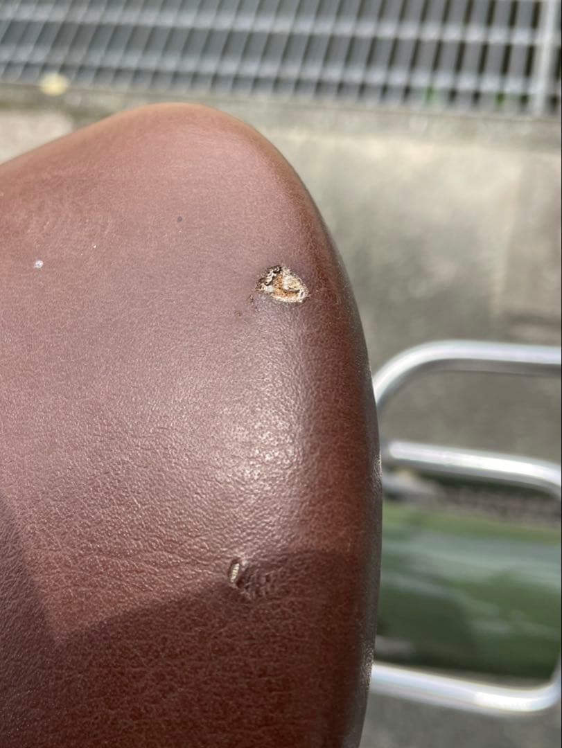 【大幅値下げ中】自転車　Linus Roadstar Sport 3i