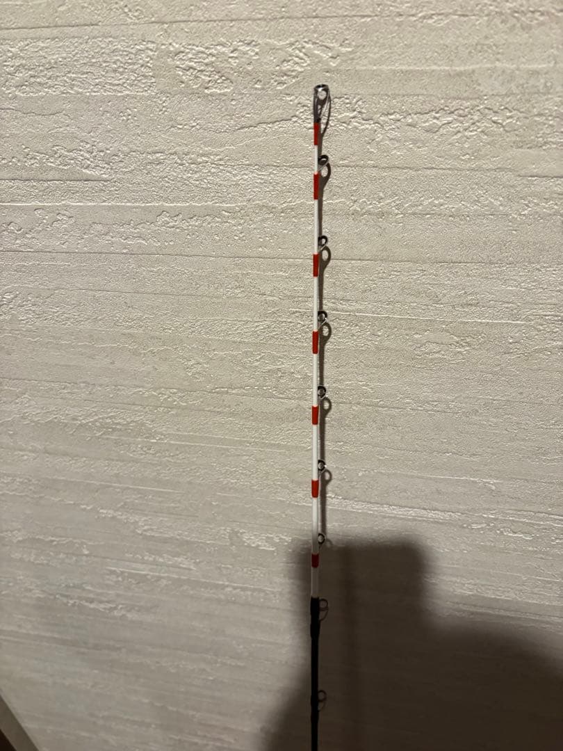 Daiwa (ダイワ) ビシアジX M-190・J