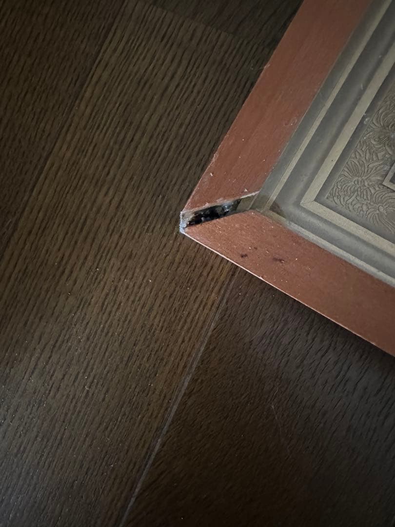 小判コレクション額