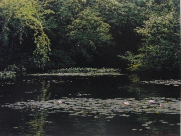 佐々木　友【睡蓮咲く】、希少画集画、状態良好、新品高級額装付