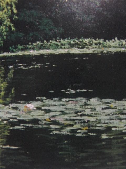 佐々木　友【睡蓮咲く】、希少画集画、状態良好、新品高級額装付