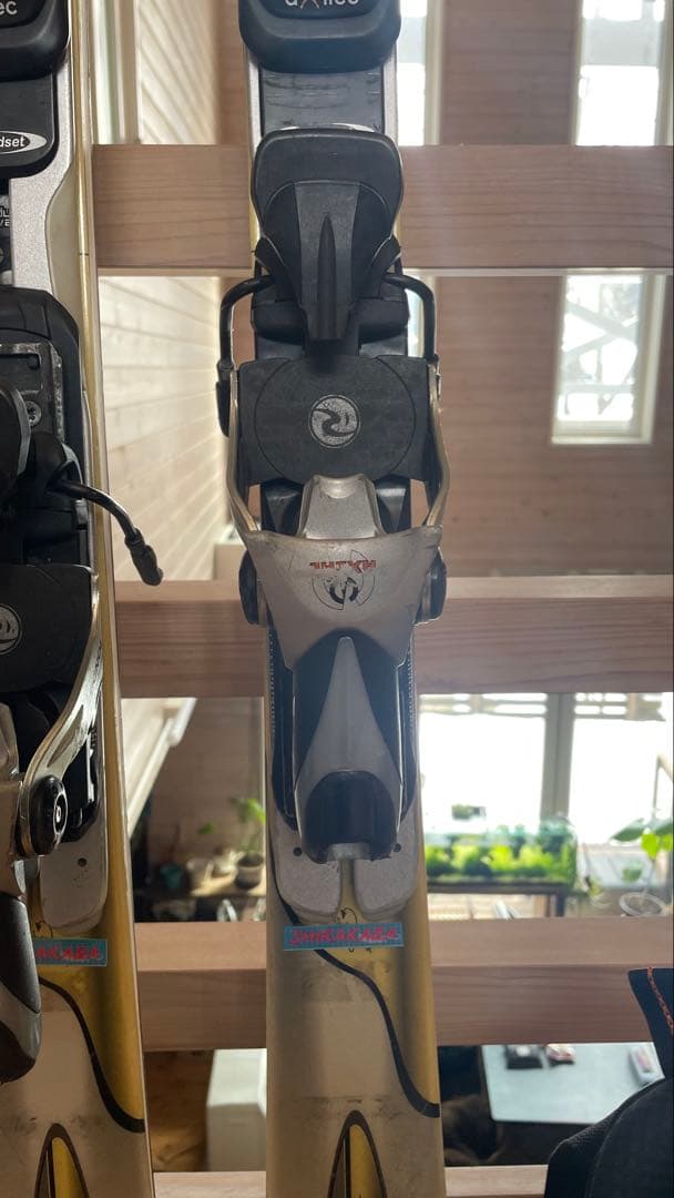 ロシニョールカービングスキー板子供ジュニアkidsキッズ158cmセット男子大人