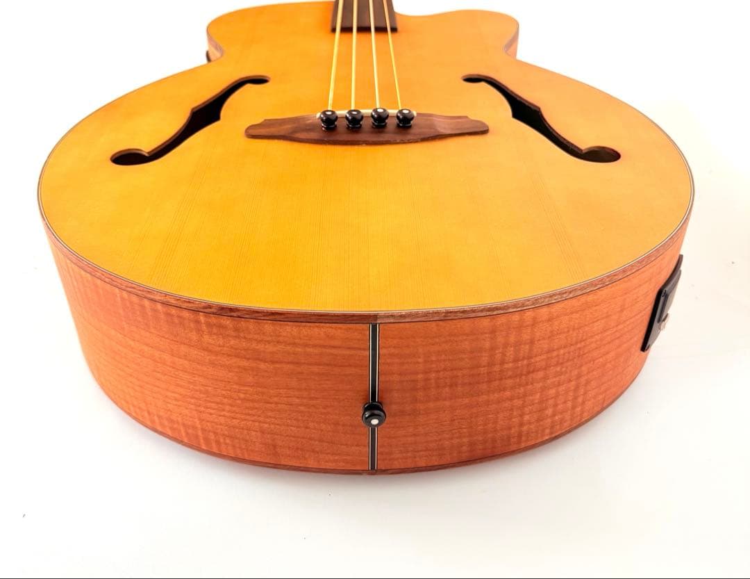 【美品】Aria FEB-FLAN エレアコベース