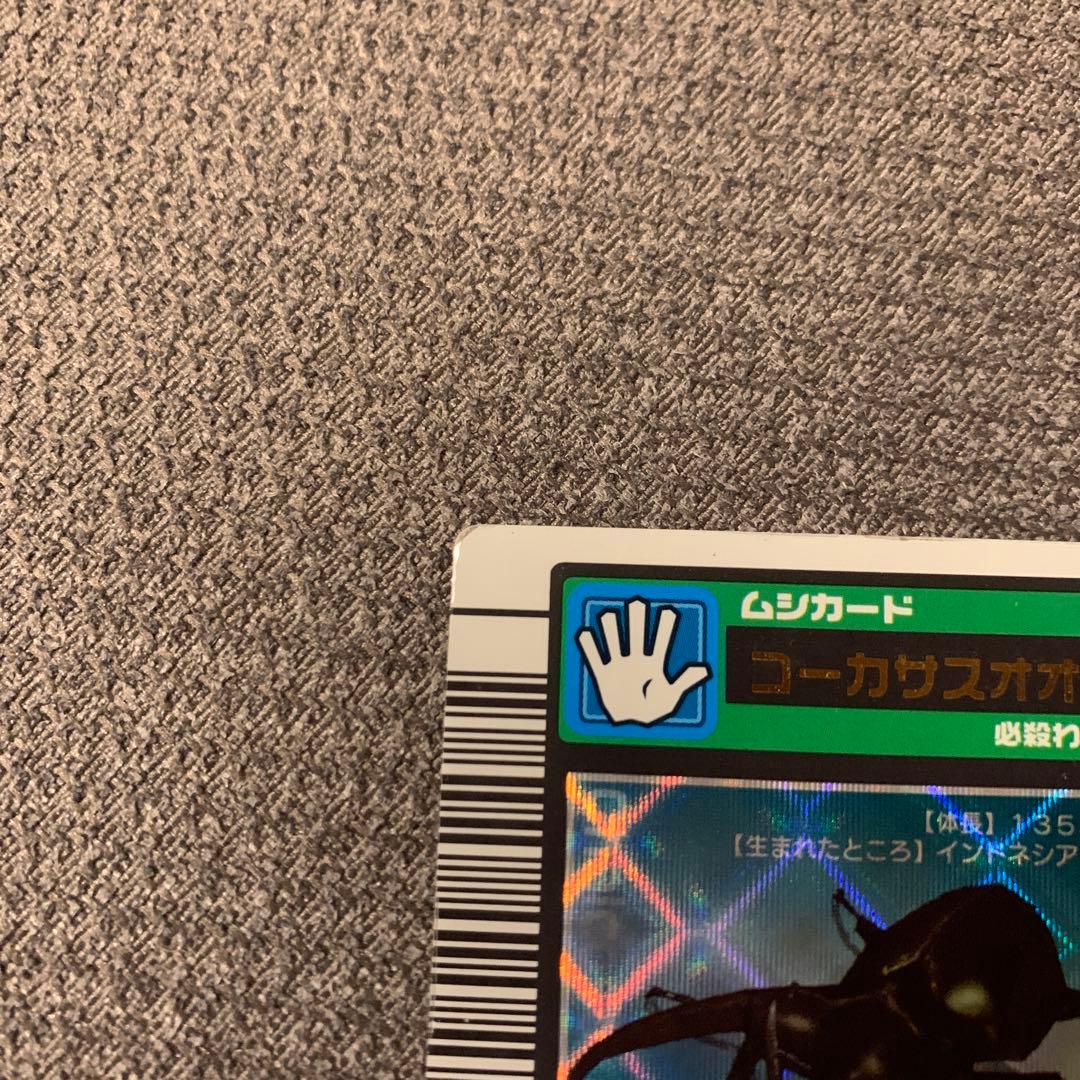 コーカサスオオカブトカード 004 青背景