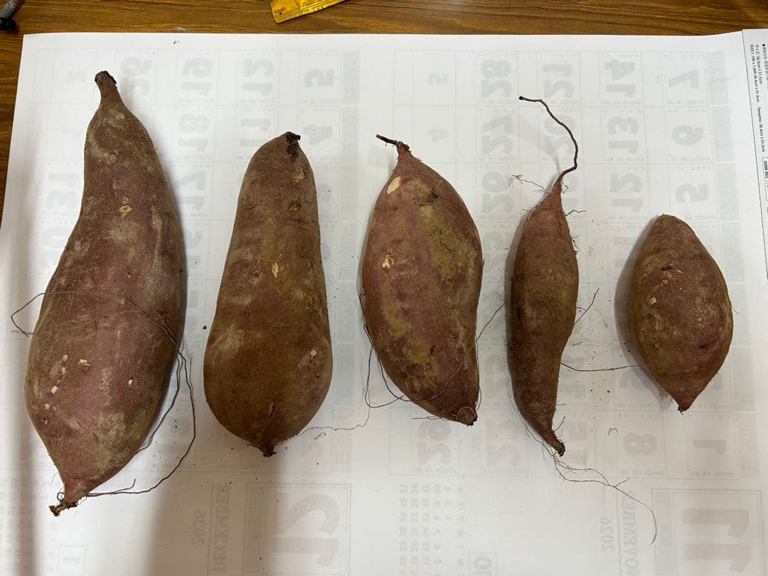 熟成紅あずま さつまいも 大分県豊後大野市超熟成紅あずま20kg