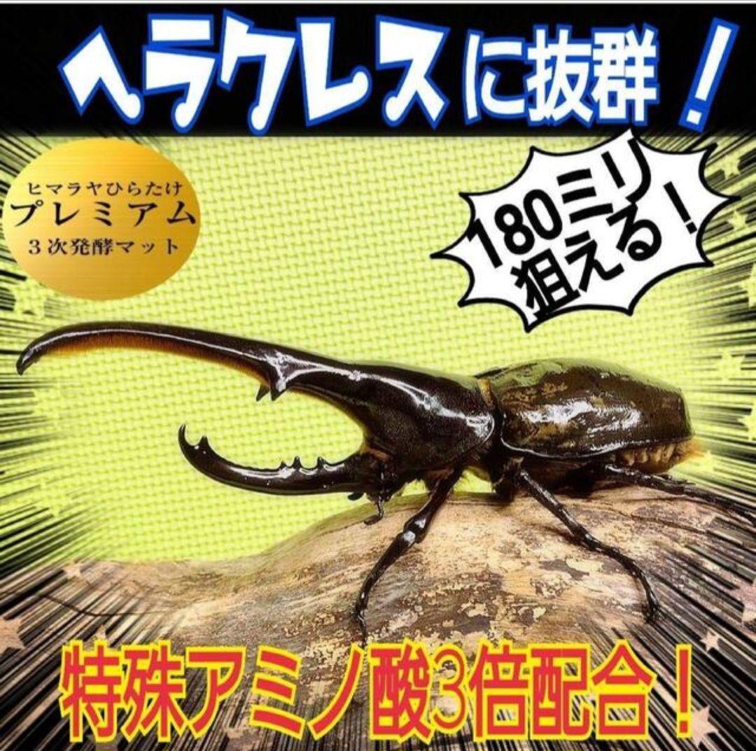 極上！プレミアム3次発酵カブトムシマット【たっぷり60L】幼虫の餌・産卵にも抜群