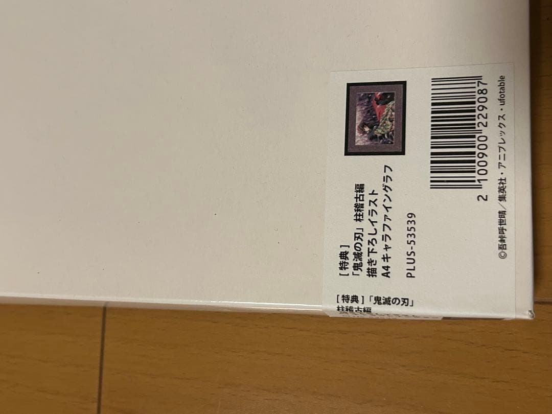 新品 鬼滅の刃 冨岡義勇 柱稽古編　DVD 全巻購入特典　キャラファイングラフ