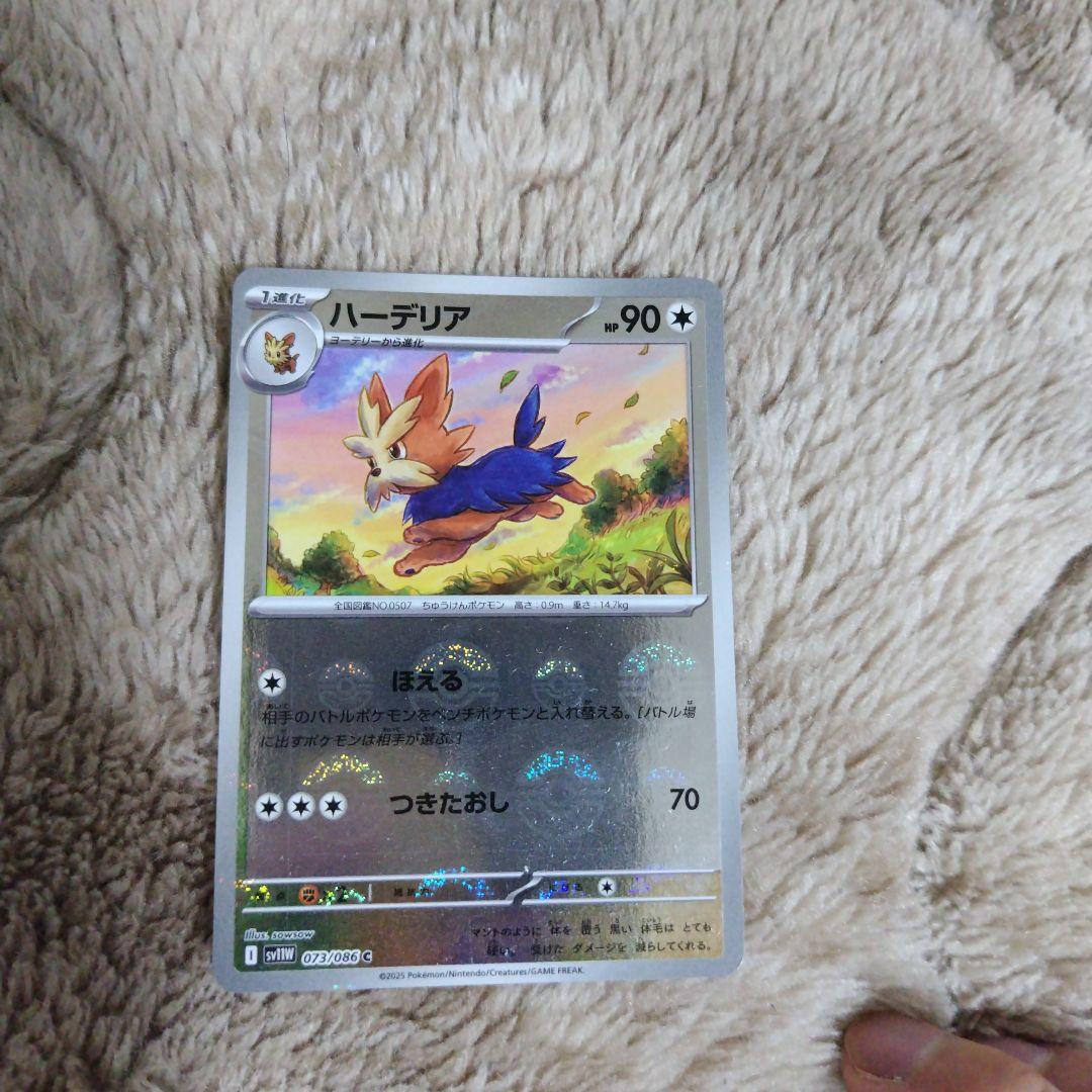 マリィ SR S1H 拡張パック シールド 068/060