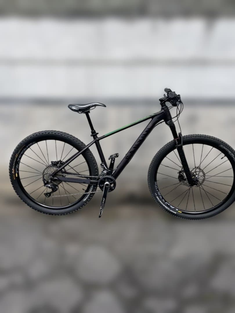 マウンテンバイク CANYON