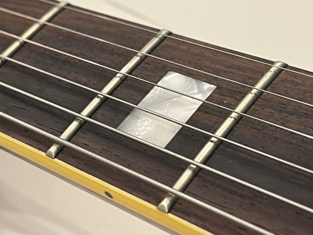 【f-arai】KING SNAKE Swamp