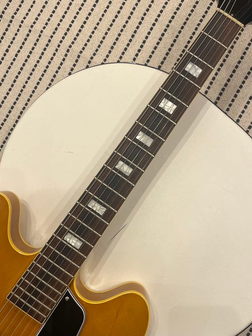 【f-arai】KING SNAKE Swamp