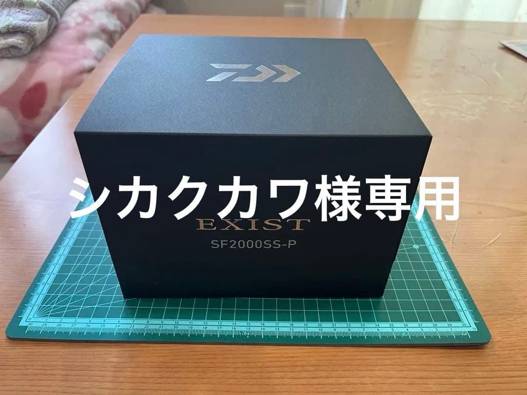 シカクカワ　ダイワ　22EXIST SF2000SS-P
