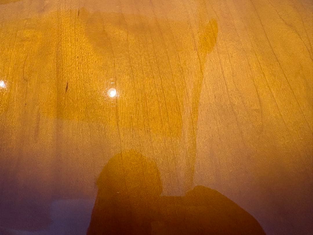 history セミアコ　ハードケース付き