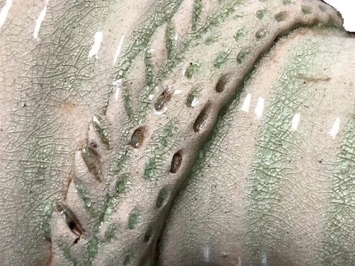 【 龍鳳凰文青磁釉高肉瓶 】　　唐～宋代　中華古玩