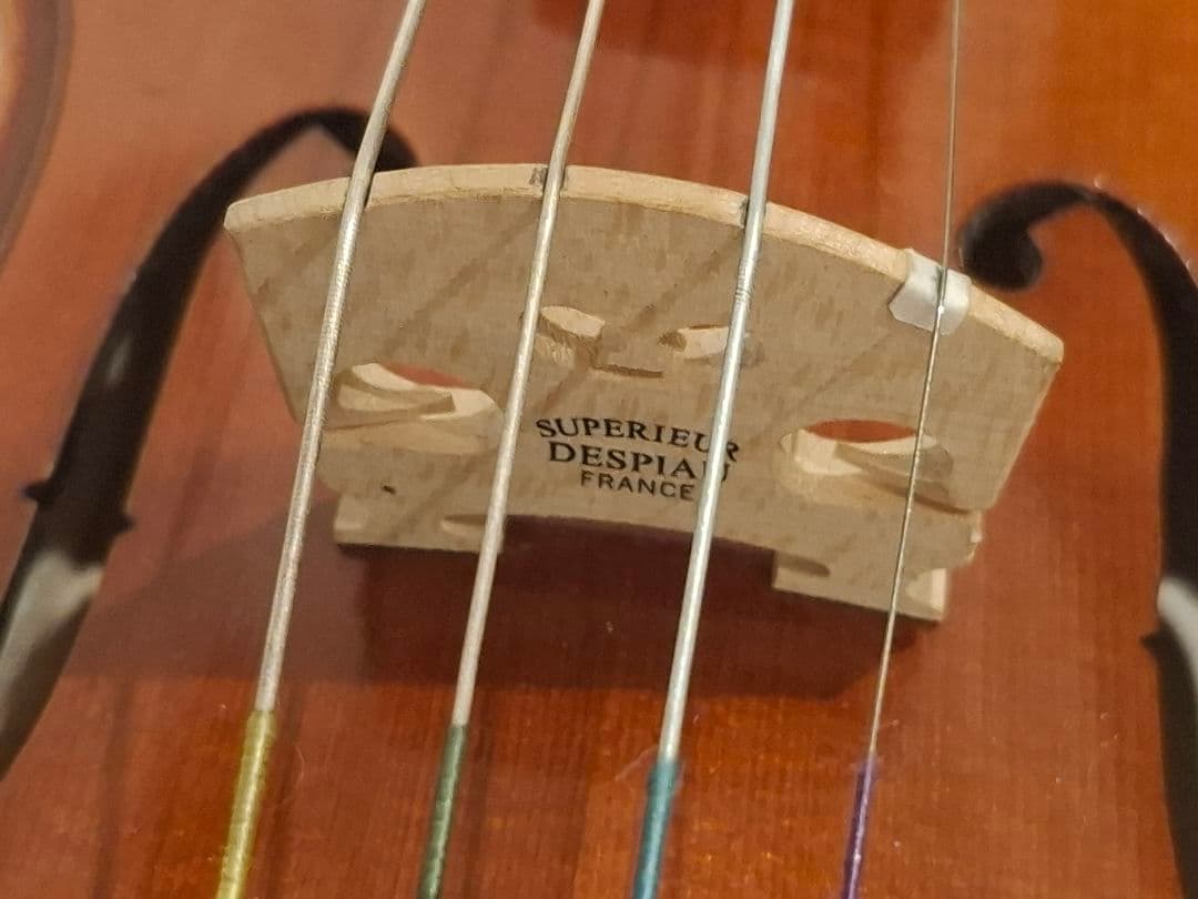 美品☆Andreas Eastman VL80 1/4 2021年製