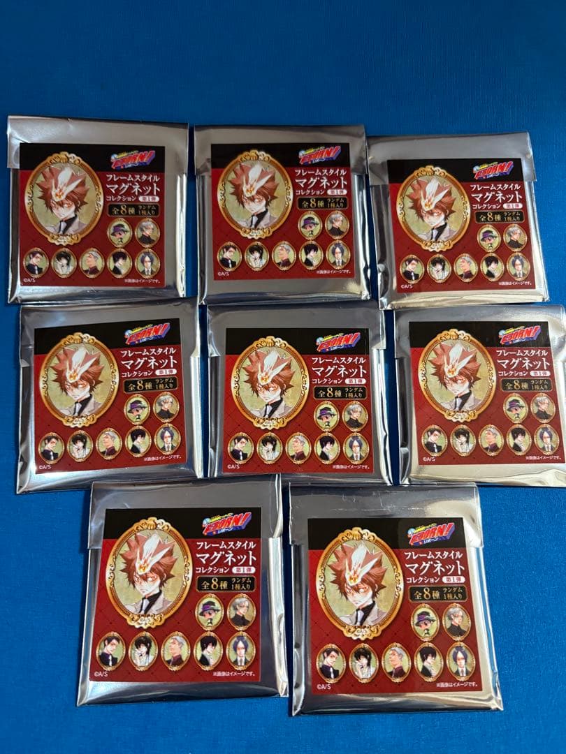 家庭教師ヒットマンreborn フレームスタイルマグネットコレクション　8点