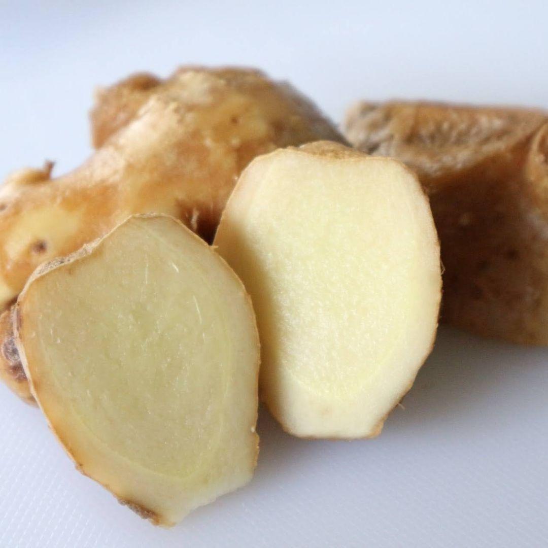 しらとり　古根生姜　5kg　期間限定価格