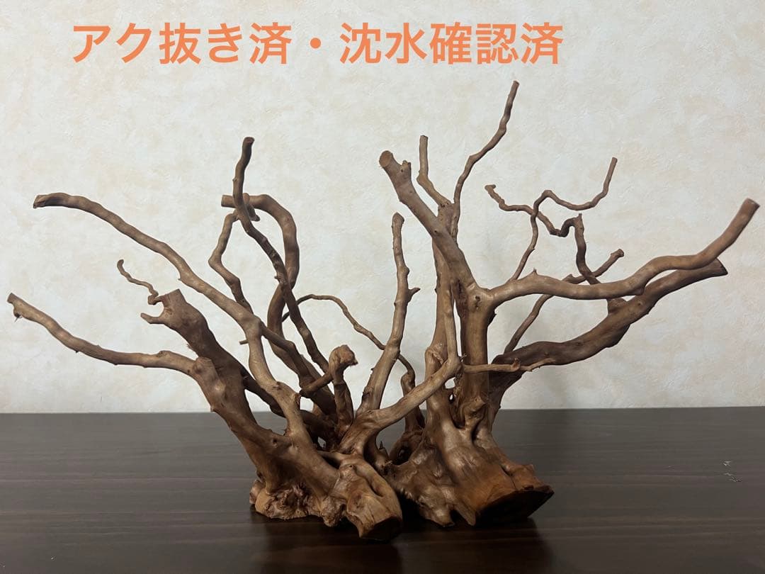 32625 ブランチウッド　流木　アクアリウム 沈水確認済