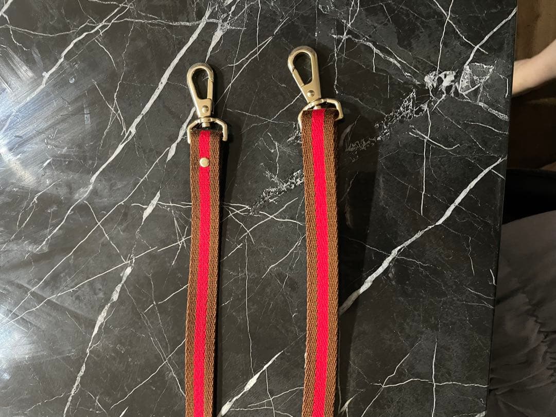 犬首輪リードセット　COLINATE 新品　アプリコット色　正規品