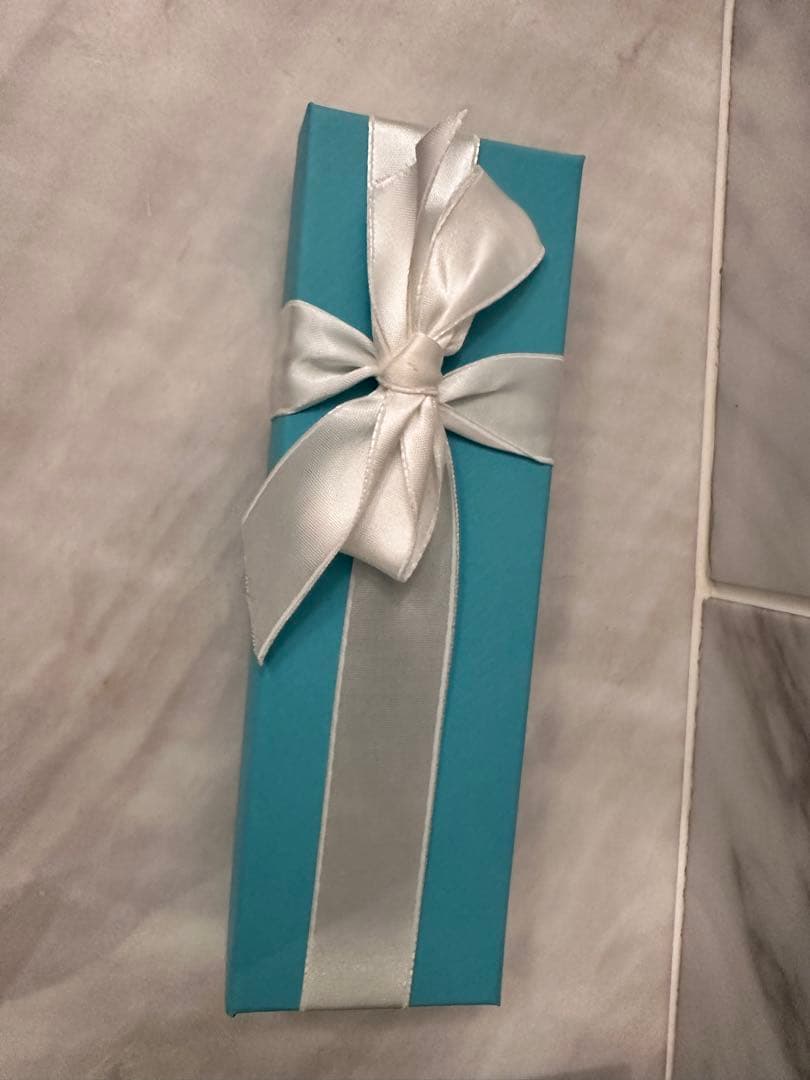 新品.未使用　Tiffany& Co. エルサ・ペレッティ™ ボールペン　赤